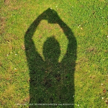 schrebergarten, tutorial, garten, gärtner, kleingarten, kleingärtner, youtube, halbprofis, gartenarbeit, picoftheday, projektschrebergarten, gartentipps, gartenliebe, gartenrundgang, gaygarden, parzelle, Berlin, vlog, gartenvlog, triebe, instagardens, gewächshausliebe, laubenliebe, gardeninspiration, obstbaum, kirsche, garden, gardening, schrebergarten, schrebergartenliebe, schrebergartenglück, laube, gemüsebeet, gemüsegarten, obst, instagram, instagood, instaplants, instagardens, insta, nutzgarten, garden, garten, plants, pflanzen, mygarden, gartenzeit, gardendesign, gardenliving, jardin, homesweethome, homegarden, gardening, garden_styles, gartengestaltung, gartenliebe, meingarten, frühling, backyard, modernhome, mygardenlife, lovemygarden, rose, rosen