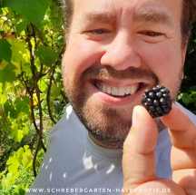 schrebergarten, tutorial, garten, gärtner, kleingarten, kleingärtner, gartenarbeit, gartentipps, gartenliebe, gaygarden, parzelle, Berlin, laubenliebe, garden, gardening, schrebergarten, schrebergartenliebe, instagardens, pflanzen, mygarden, gartenzeit, gardendesign, gartengestaltung, meingarten, lovemygarden, sprengen, bewässern, sprenger, schlauch