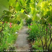 schrebergarten, tutorial, garten, gärtner, kleingarten, kleingärtner, gartenarbeit, gartentipps, gartenliebe, gaygarden, parzelle, Berlin, laubenliebe, garden, gardening, schrebergarten, schrebergartenliebe, instagardens, pflanzen, mygarden, gartenzeit, gardendesign, gartengestaltung, meingarten, lovemygarden, sprengen, bewässern, sprenger, schlauch