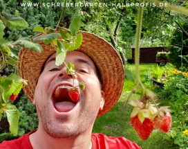schrebergarten, tutorial, garten, gärtner, kleingarten, kleingärtner, gartenarbeit, gartentipps, gartenliebe, gaygarden, parzelle, Berlin, laubenliebe, garden, gardening, schrebergarten, schrebergartenliebe, instagardens, pflanzen, mygarden, gartenzeit, gardendesign, gartengestaltung, meingarten, lovemygarden, sprengen, bewässern, sprenger, schlauch