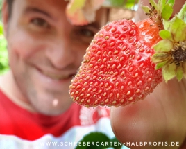 schrebergarten, tutorial, garten, gärtner, kleingarten, kleingärtner, gartenarbeit, gartentipps, gartenliebe, gaygarden, parzelle, Berlin, laubenliebe, garden, gardening, schrebergarten, schrebergartenliebe, instagardens, pflanzen, mygarden, gartenzeit, gardendesign, gartengestaltung, meingarten, lovemygarden, sprengen, bewässern, sprenger, schlauch