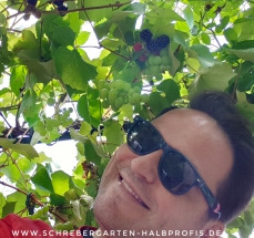 schrebergarten, tutorial, garten, gärtner, kleingarten, kleingärtner, gartenarbeit, gartentipps, gartenliebe, gaygarden, parzelle, Berlin, laubenliebe, garden, gardening, schrebergarten, schrebergartenliebe, instagardens, pflanzen, mygarden, gartenzeit, gardendesign, gartengestaltung, meingarten, lovemygarden, sprengen, bewässern, sprenger, schlauch