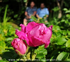schrebergarten, tutorial, garten, gärtner, kleingarten, kleingärtner, gartenarbeit, gartentipps, gartenliebe, gaygarden, parzelle, Berlin, laubenliebe, garden, gardening, schrebergarten, schrebergartenliebe, instagardens, pflanzen, mygarden, gartenzeit, gardendesign, gartengestaltung, meingarten, lovemygarden, sprengen, bewässern, sprenger, schlauch