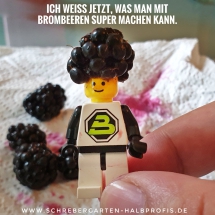 schrebergarten, tutorial, garten, gärtner, kleingarten, kleingärtner, gartenarbeit, gartentipps, gartenliebe, gaygarden, parzelle, Berlin, laubenliebe, garden, gardening, schrebergarten, schrebergartenliebe, instagardens, pflanzen, mygarden, gartenzeit, gardendesign, gartengestaltung, meingarten, lovemygarden, sprengen, bewässern, sprenger, schlauch