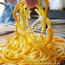 schrebergarten, tutorial, garten, gärtner, kleingarten, kleingärtner, gartenarbeit, gartentipps, gartenliebe, gaygarden, parzelle, Berlin, laubenliebe, garden, gardening, schrebergarten, schrebergartenliebe, instagardens, pflanzen, mygarden, gartenzeit, gardendesign, gartengestaltung, meingarten, lovemygarden, sprengen, bewässern, sprenger, schlauch