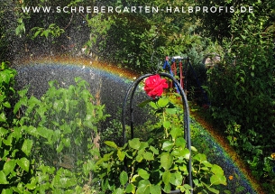 schrebergarten, tutorial, garten, gärtner, kleingarten, kleingärtner, gartenarbeit, gartentipps, gartenliebe, gaygarden, parzelle, Berlin, laubenliebe, garden, gardening, schrebergarten, schrebergartenliebe, instagardens, pflanzen, mygarden, gartenzeit, gardendesign, gartengestaltung, meingarten, lovemygarden, sprengen, bewässern, sprenger, schlauch