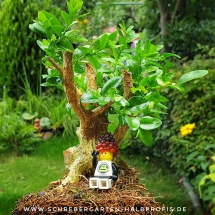 schrebergarten, tutorial, garten, gärtner, kleingarten, kleingärtner, gartenarbeit, gartentipps, gartenliebe, gaygarden, parzelle, Berlin, laubenliebe, garden, gardening, schrebergarten, schrebergartenliebe, instagardens, pflanzen, mygarden, gartenzeit, gardendesign, gartengestaltung, meingarten, lovemygarden, sprengen, bewässern, sprenger, schlauch