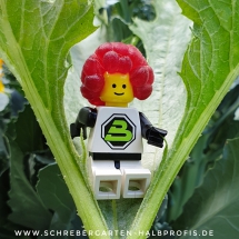 schrebergarten, tutorial, garten, gärtner, kleingarten, kleingärtner, gartenarbeit, gartentipps, gartenliebe, gaygarden, parzelle, Berlin, laubenliebe, garden, gardening, schrebergarten, schrebergartenliebe, instagardens, pflanzen, mygarden, gartenzeit, gardendesign, gartengestaltung, meingarten, lovemygarden, sprengen, bewässern, sprenger, schlauch