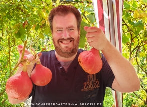 schrebergarten, tutorial, garten, gärtner, kleingarten, kleingärtner, gartenarbeit, gartentipps, gartenliebe, gaygarden, parzelle, Berlin, laubenliebe, garden, gardening, schrebergarten, schrebergartenliebe, instagardens, pflanzen, mygarden, gartenzeit, gardendesign, gartengestaltung, meingarten, lovemygarden, sprengen, bewässern, sprenger, schlauch