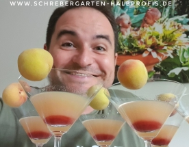 schrebergarten, tutorial, garten, gärtner, kleingarten, kleingärtner, gartenarbeit, gartentipps, gartenliebe, gaygarden, parzelle, Berlin, laubenliebe, garden, gardening, schrebergarten, schrebergartenliebe, instagardens, pflanzen, mygarden, gartenzeit, gardendesign, gartengestaltung, meingarten, lovemygarden, sprengen, bewässern, sprenger, schlauch