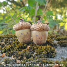 schrebergarten, tutorial, garten, gärtner, kleingarten, kleingärtner, gartenarbeit, gartentipps, gartenliebe, gaygarden, parzelle, Berlin, laubenliebe, garden, gardening, schrebergarten, schrebergartenliebe, instagardens, pflanzen, mygarden, gartenzeit, gardendesign, gartengestaltung, meingarten, lovemygarden, sprengen, bewässern, sprenger, schlauch