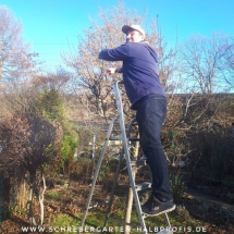 IMG_20191213_124338_280