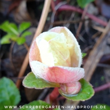 IMG_20191223_081542_893