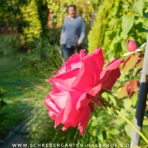 IMG_20200922_182630_419