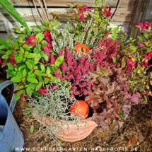 IMG_20201002_184853_584