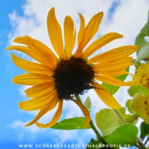 IMG_20201007_182504_589