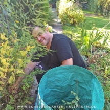 IMG_20201008_203443_254