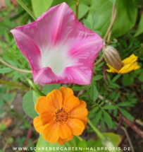 IMG_20201013_191004_003