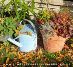 IMG_20201101_181312_420