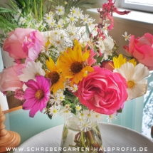 IMG_20201102_184548_439