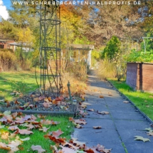 IMG_20201126_192824_234