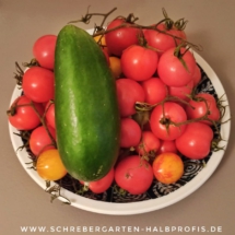 IMG_20201201_210837_172