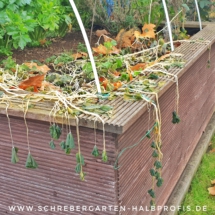 IMG_20201211_171754_485