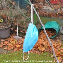 IMG_20201215_181859_385