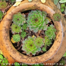 IMG_20201217_184217_305