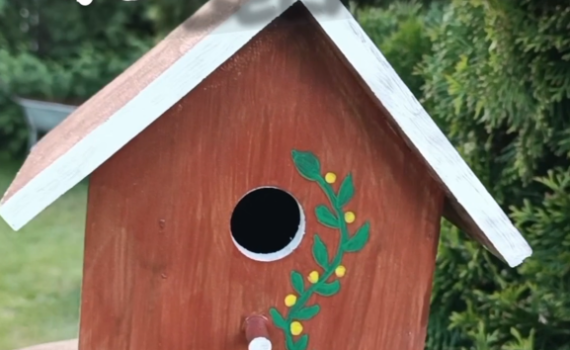Schrebergarten Halbprofis, schrebergarten, tutorial, garten, gärtner, kleingarten, kleingärtner, youtube, halbprofis, gartenzeit, gardendesign, gardenliving, projektschrebergarten, gartentipps, gartenliebe, gaycouple, Gartentipps, gaygarden, parzelle, vlog, gartenvlog, Gartensendung, Garten Produkttests, Gartenrundgang