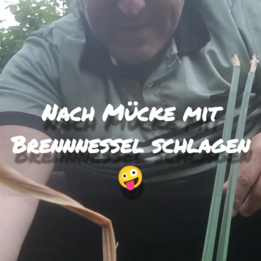 Schrebergarten Halbprofis, schrebergarten, tutorial, garten, gärtner, kleingarten, kleingärtner, youtube, halbprofis, gartenzeit, gardendesign, gardenliving, projektschrebergarten, gartentipps, gartenliebe, gaycouple, Gartentipps, gaygarden, parzelle, vlog, gartenvlog, Gartensendung, Garten Produkttests, Gartenrundgang
