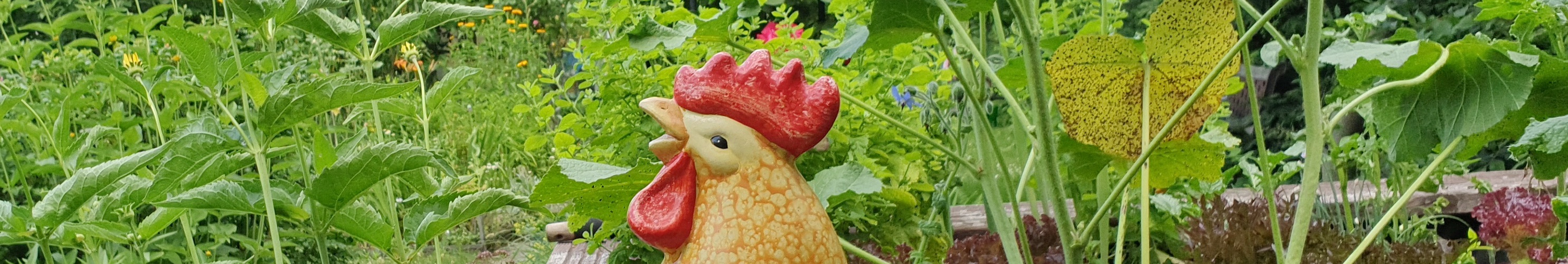 schrebergarten, tutorial, garten, gärtner, kleingarten, kleingärtner, youtube, halbprofis, gartenarbeit, picoftheday, projektschrebergarten, gartentipps, gartenliebe, gartenrundgang, gaygarden, parzelle, Berlin, vlog, gartenvlog, triebe, instagardens, gewächshausliebe, laubenliebe, gardeninspiration, obstbaum, kirsche, garden, gardening, schrebergarten, schrebergartenliebe, schrebergartenglück, laube, gemüsebeet, gemüsegarten, obst, instagram, instagood, instaplants, instagardens, insta, nutzgarten, garden, garten, plants, pflanzen, mygarden, gartenzeit, gardendesign, gardenliving, jardin, homesweethome, homegarden, gardening, garden_styles, gartengestaltung, gartenliebe, meingarten, frühling, backyard, modernhome, mygardenlife, lovemygarden, rose, rosen, beschneiden, schneiden