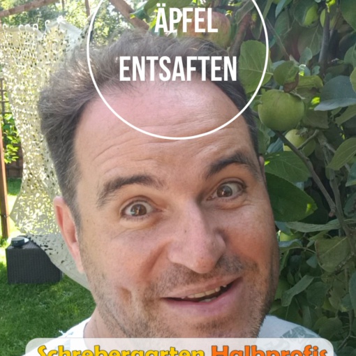 Schrebergarten Halbprofis, schrebergarten, tutorial, garten, gärtner, kleingarten, kleingärtner, youtube, halbprofis, gartenzeit, gardendesign, gardenliving, projektschrebergarten, gartentipps, gartenliebe, gaycouple, Gartentipps, gaygarden, parzelle, vlog, gartenvlog, Gartensendung, Garten Produkttests, Gartenrundgang