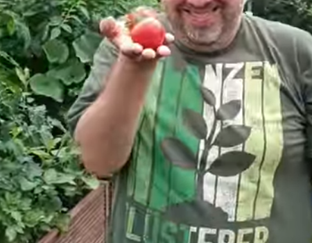Schrebergarten Halbprofis, schrebergarten, tutorial, garten, gärtner, kleingarten, kleingärtner, youtube, halbprofis, gartenzeit, gardendesign, gardenliving, projektschrebergarten, gartentipps, gartenliebe, gaycouple, Gartentipps, gaygarden, parzelle, vlog, gartenvlog, Gartensendung, Garten Produkttests, Gartenrundgang