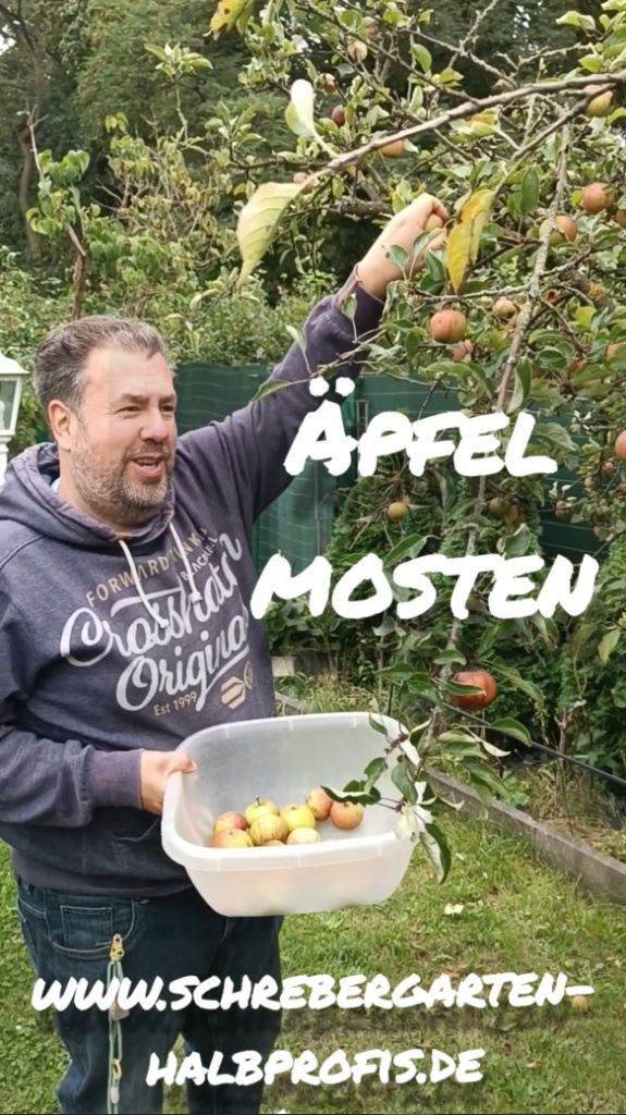 Schrebergarten Halbprofis, schrebergarten, tutorial, garten, gärtner, kleingarten, kleingärtner, youtube, halbprofis, gartenzeit, gardendesign, gardenliving, projektschrebergarten, gartentipps, gartenliebe, gaycouple, Gartentipps, gaygarden, parzelle, vlog, gartenvlog, Gartensendung, Garten Produkttests, Gartenrundgang