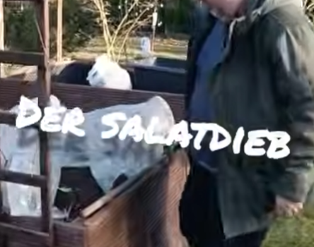 Schrebergarten Halbprofis, schrebergarten, tutorial, garten, gärtner, kleingarten, kleingärtner, youtube, halbprofis, gartenzeit, gardendesign, gardenliving, projektschrebergarten, gartentipps, gartenliebe, gaycouple, Gartentipps, gaygarden, parzelle, vlog, gartenvlog, Gartensendung, Garten Produkttests, Gartenrundgang