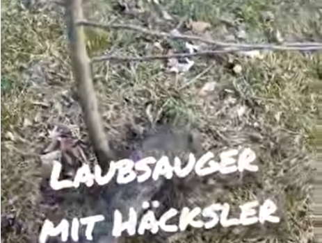 Schrebergarten Halbprofis, schrebergarten, tutorial, garten, gärtner, kleingarten, kleingärtner, youtube, halbprofis, gartenzeit, gardendesign, gardenliving, projektschrebergarten, gartentipps, gartenliebe, gaycouple, Gartentipps, gaygarden, parzelle, vlog, gartenvlog, Gartensendung, Garten Produkttests, Gartenrundgang