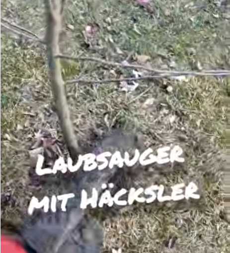 Schrebergarten Halbprofis, schrebergarten, tutorial, garten, gärtner, kleingarten, kleingärtner, youtube, halbprofis, gartenzeit, gardendesign, gardenliving, projektschrebergarten, gartentipps, gartenliebe, gaycouple, Gartentipps, gaygarden, parzelle, vlog, gartenvlog, Gartensendung, Garten Produkttests, Gartenrundgang